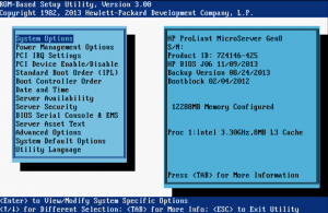 microserver_bios04.png